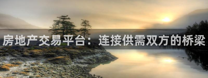 和记一品官网：房地产交易平台：连接供需双方的桥梁