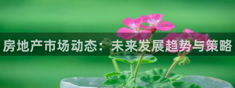 缅甸和记官网：房地产市场动态：未来发展趋势与策略