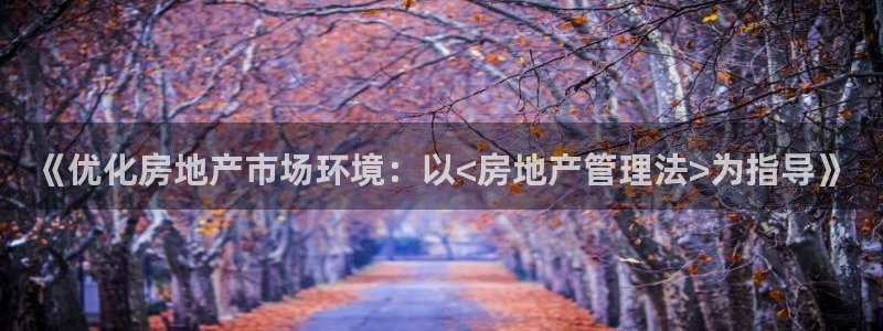 和记娱乐 怡情搏娱官网：《优化房地产市场环境：以<房地产管理