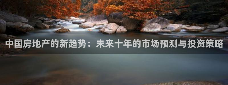 和记黄浦官网：中国房地产的新趋势：未来十年的市场预测与投资策