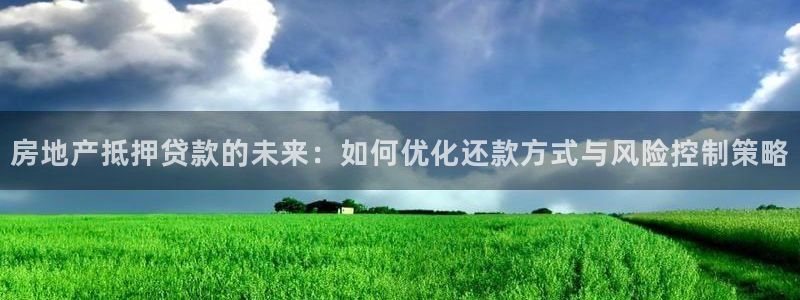 香港和记隆官网：房地产抵押贷款的未来：如何优化还款方式与风险