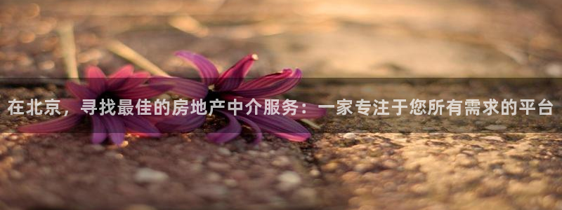 和记娱官网h88285怡情：在北京，寻找最佳的房地产中介服务