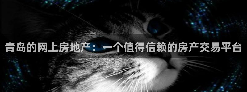 和记电讯app官网：青岛的网上房地产：一个值得信赖的房产交易
