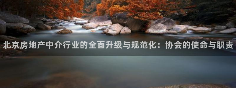 和记官网平台：北京房地产中介行业的全面升级与规范化：协会的使