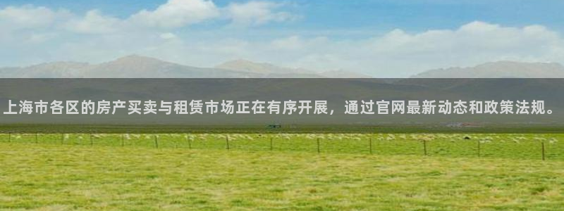 和记国际官网官网：上海市各区的房产买卖与租赁市场正在有序开展