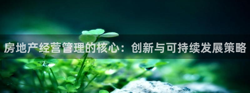 和记集团官网：房地产经营管理的核心：创新与可持续发展策略