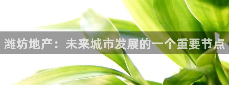 武汉和记黄埔官网：潍坊地产：未来城市发展的一个重要节点