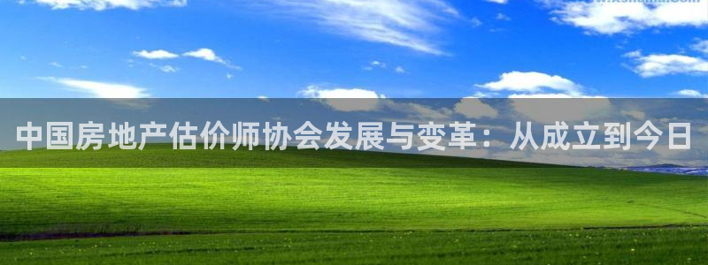 和记混凝土官网：中国房地产估价师协会发展与变革：从成立到今日