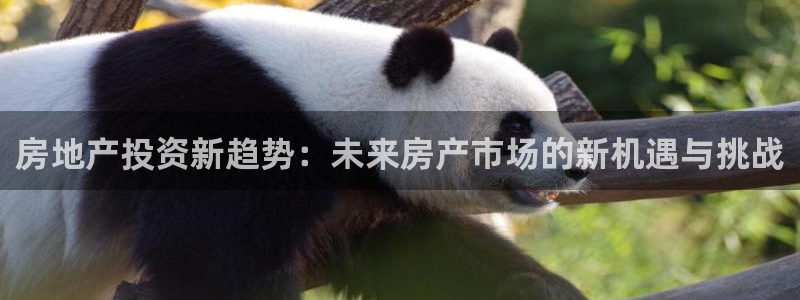 和记电讯APP官网充值：房地产投资新趋势：未来房产市场的新机