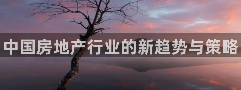 和记万佳国际家居城官网：中国房地产行业的新趋势与策略