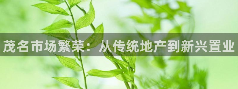 和记游戏官网：茂名市场繁荣：从传统地产到新兴置业