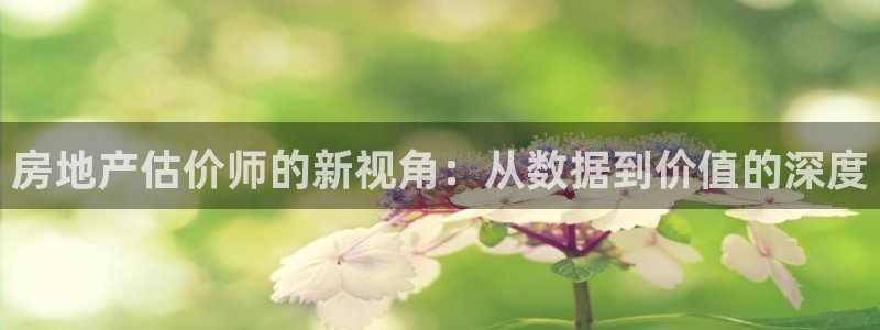胡和记面官网：房地产估价师的新视角：从数据到价值的深度