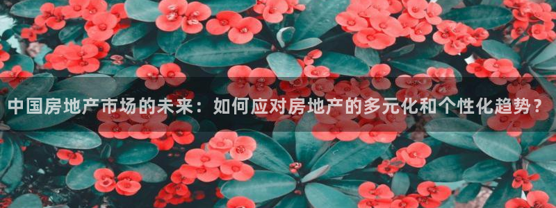 3和记官网：中国房地产市场的未来：如何应对房地产的多元化和个