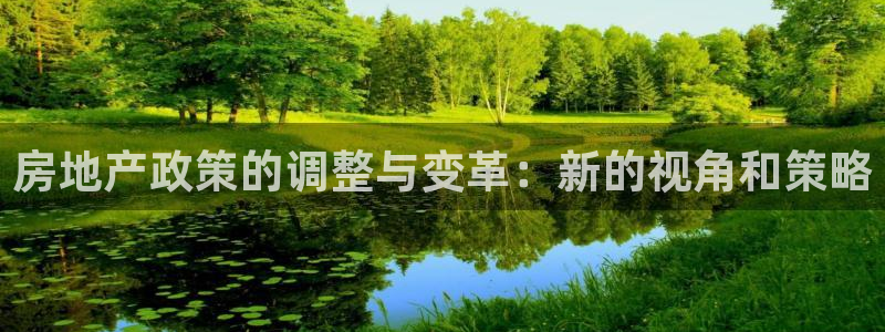 和记h88官网：房地产政策的调整与变革：新的视角和策略