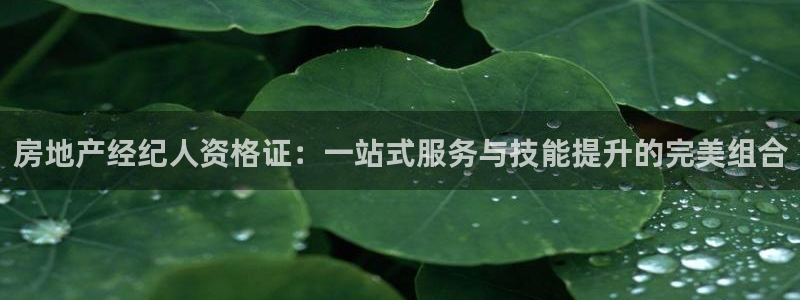 和记奥普泰 官网：房地产经纪人资格证：一站式服务与技能提升的