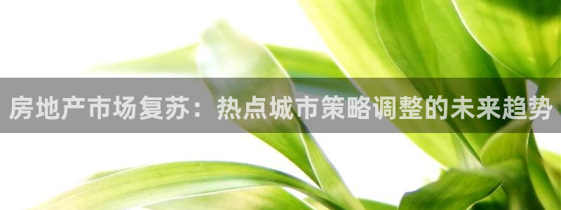 和记官网手机版：房地产市场复苏：热点城市策略调整的未来趋势