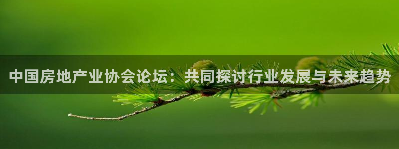 和记官网亚洲唯一官网：中国房地产业协会论坛：共同探讨行业发展