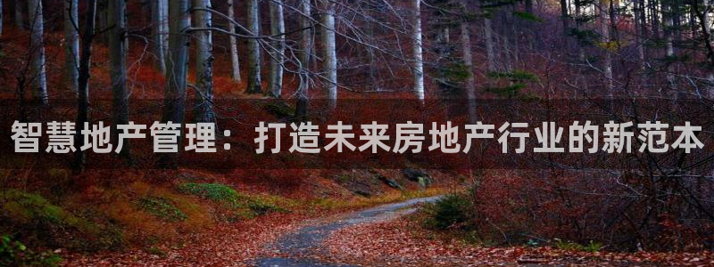 和记娱永久h88285官网：智慧地产管理：打造未来房地产行业