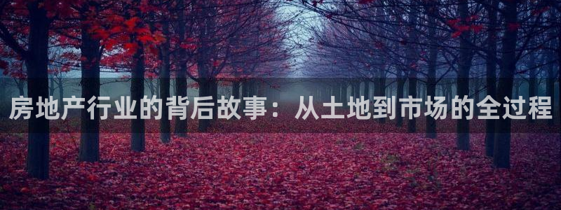 成都和记黄埔官网：房地产行业的背后故事：从土地到市场的全过程