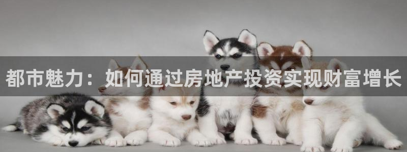 和记h1888怡情官网：都市魅力：如何通过房地产投资实现财富