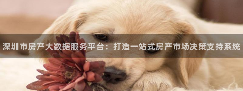 和记娱就问h88285官网：深圳市房产大数据服务平台：打造一