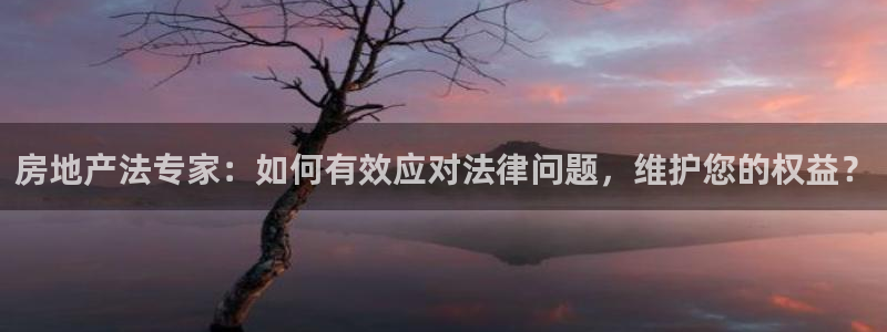 香港和记黄埔官网：房地产法专家：如何有效应对法律问题，维护您