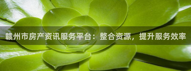 和记怡情赌博官网：赣州市房产资讯服务平台：整合资源，提升服务