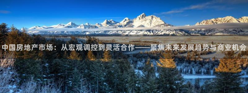 和记官网平台：中国房地产市场：从宏观调控到灵活合作——聚焦未