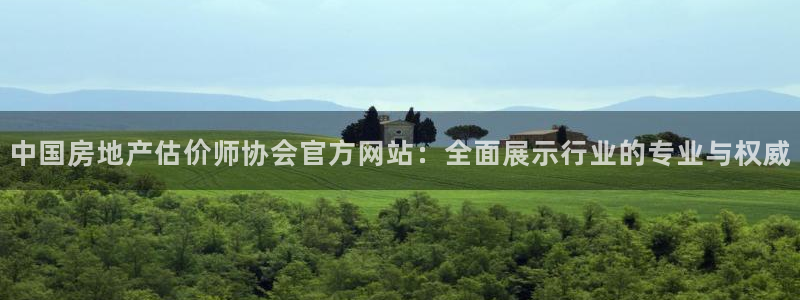 和记黄埔官网攻略：中国房地产估价师协会官方网站：全面展示行业