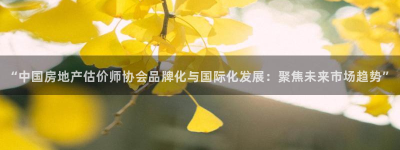 和记娱乐旗舰官网