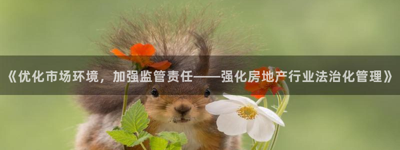 和记娱乐h88官网：《优化市场环境，加强监管责任——强化房地