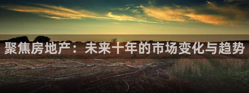 和记娱精湛h88285官网：聚焦房地产：未来十年的市场变化与