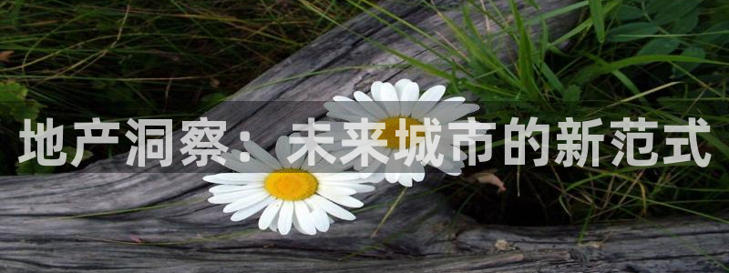 和记官网登录：地产洞察：未来城市的新范式