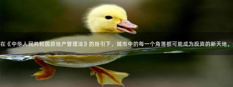和记黄埔官网教育：在《中华人民共和国房地产管理法》的指引下，