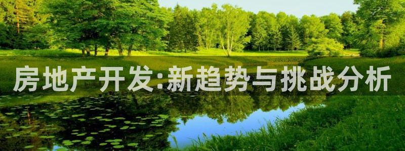果博官网和记：房地产开发:新趋势与挑战分析