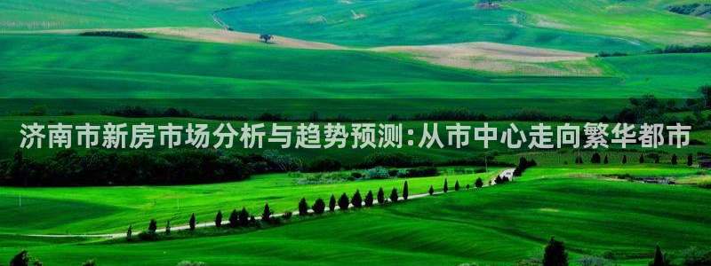 和记电讯3官网：济南市新房市场分析与趋势预测:从市中心走向繁