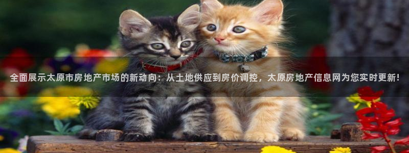 和记官网手机：全面展示太原市房地产市场的新动向：从土地供应到