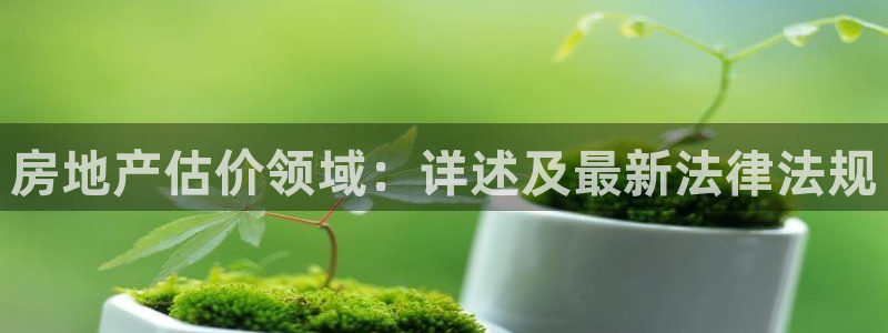 3和记官网：房地产估价领域：详述及最新法律法规