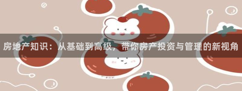 三宇和记官网：房地产知识：从基础到高级，带你房产投资与管理的