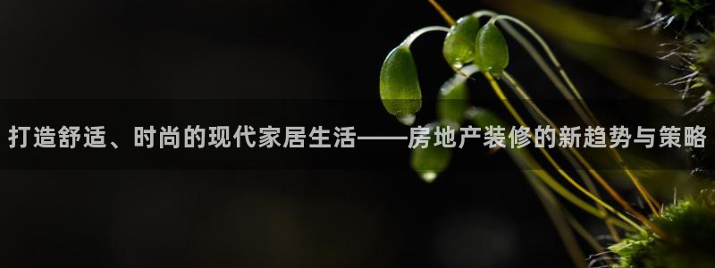 和记电讯3官网：打造舒适、时尚的现代家居生活——房地产装修的