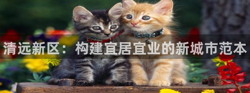 和帆记官网：清远新区：构建宜居宜业的新城市范本