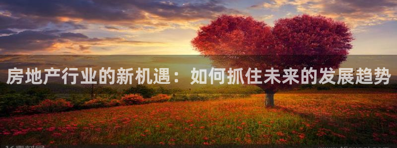 和记娱精湛h88285官网：房地产行业的新机遇：如何抓住未来