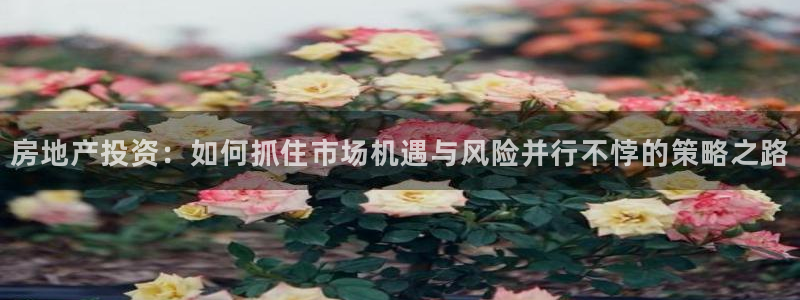 和记安徽快3官网开户