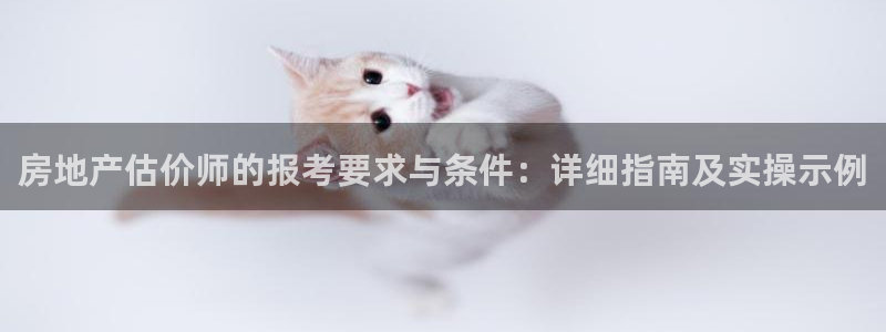 3和记电讯官网：房地产估价师的报考要求与条件：详细指南及实操