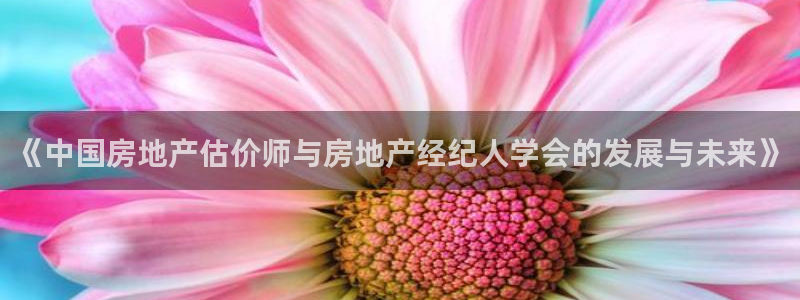 和记国际官网首页：《中国房地产估价师与房地产经纪人学会的发展