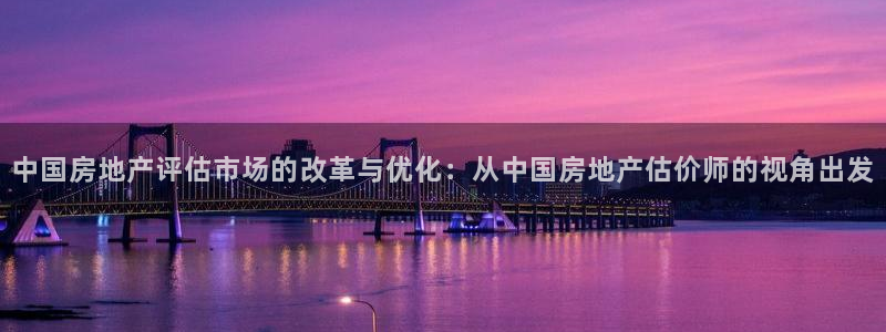 和记隆官网：中国房地产评估市场的改革与优化：从中国房地产估价