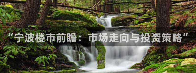 香港和记电讯官网：“宁波楼市前瞻：市场走向与投资策略”