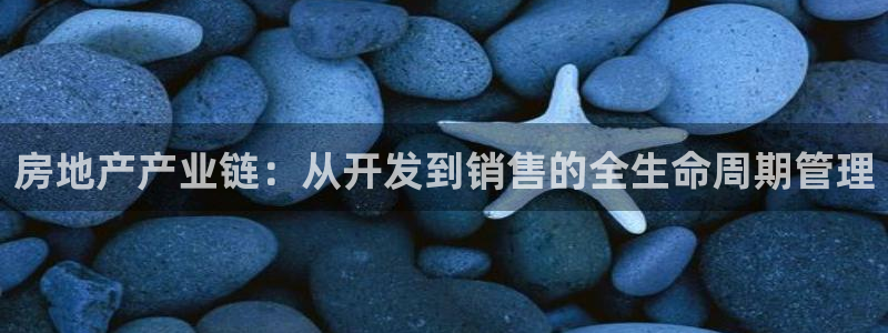 和记手机版官网：房地产产业链：从开发到销售的全生命周期管理