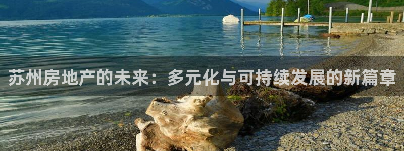 和记国际平台官网