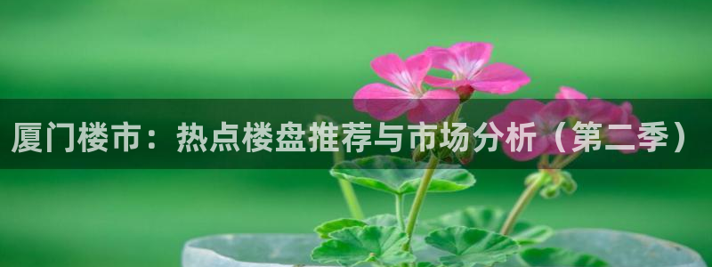 和记娱乐h8官网：厦门楼市：热点楼盘推荐与市场分析（第二季）